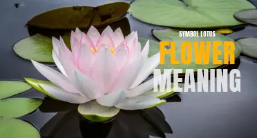 The Symbolic Meaning of the Lotus Flower: Unfolding the Secrets of Purity and Spiritual Enlightenment