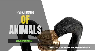 Unlocking the Hidden Symbolic Meaning of Animals in Various Cultures