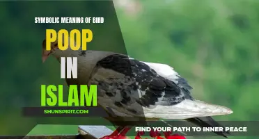 The Symbolic Meaning of Bird Poop in Islam: A Sign of Blessings or Misfortune?