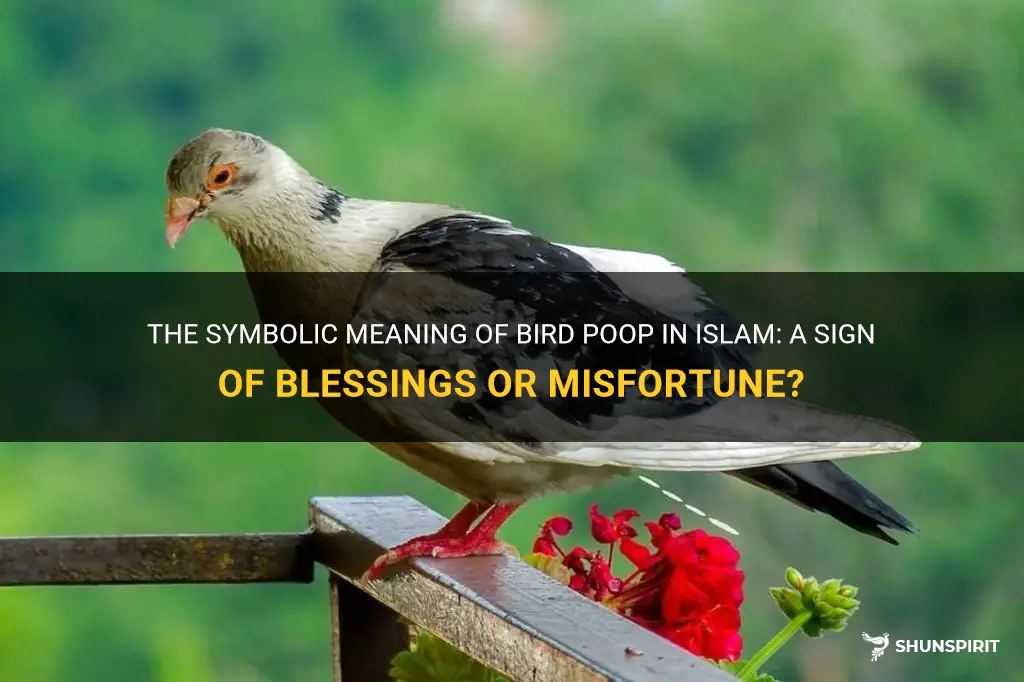 symbolic meaning of bird poop in islam
