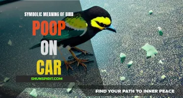 The Symbolic Meaning of Bird Poop on Your Car: What Does it Signify?