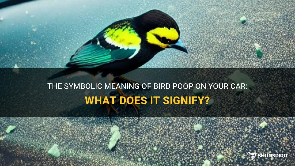 symbolic meaning of bird poop on car