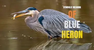 The Symbolic Meaning of the Blue Heron: Wisdom, Patience, and Adaptability