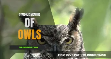 The Mystical Symbolism of Owls: Decoding their Hidden Meanings