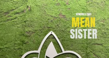 The Power and Beauty of Symbols That Mean Sister