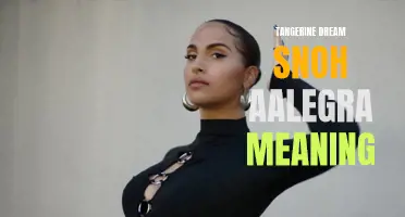 The Meaning of Tangerine Dream: Exploring Snoh Aalegra's Musical Journey