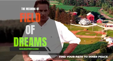 The Enigmatic Meanings of "Field of Dreams