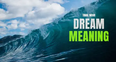 Understanding the Symbolism Behind Tidal Wave Dreams