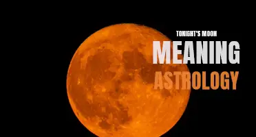 Decoding the Mysteries of Tonight's Moon: What it Means in Astrology