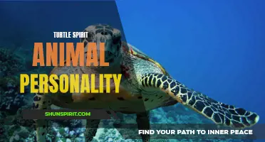 The Wise and Patient Nature of the Turtle Spirit Animal