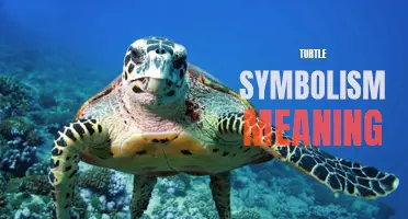 The Deep Symbolic Meaning of Turtles: A Window into Ancient Wisdom