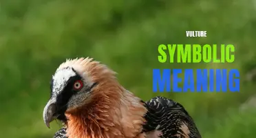 The Powerful Symbolism of Vultures: Exploring their Meaning in Different Cultures