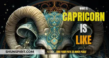 The Unique Traits and Characteristics of a Capricorn: Exploring the Capricorn Zodiac Sign