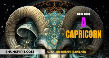 Unlocking the Mysteries of a Capricorn: What You Need to Know