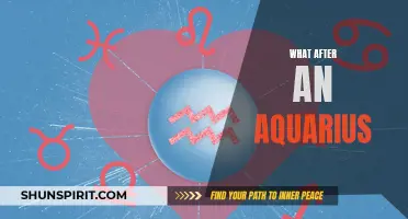 Navigating Life After an Aquarius: What You Need to Know