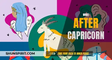 The Future Horoscope: What Comes After Capricorn