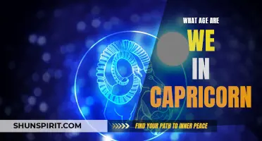 Unlocking the Mysteries: What Age Does Capricorn Represent?