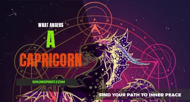 Understanding the Triggers that Anger a Capricorn