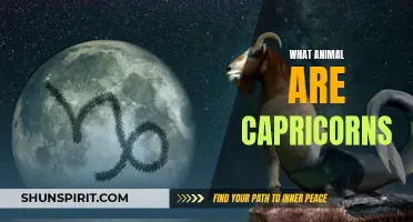 What Animal Represents Capricorns: Unveiling the Sign's Symbolic Creature