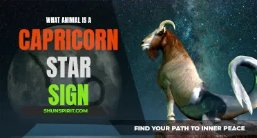 The Animal Symbolizing the Capricorn Star Sign Revealed