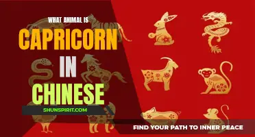 The Chinese Zodiac: What Animal Represents Capricorn?