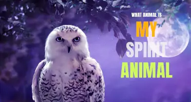 What Animal Is Your Spirit Animal? A Fun Personality Quiz!