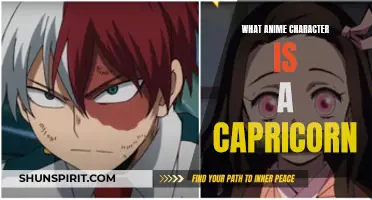 Capricorn Anime Characters: Discover the Zodiac Sign's Traits in Your Favorite Television Shows