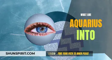 Unveiling the Intriguing Interests of Aquarius: Exploring their Passions and Hobbies