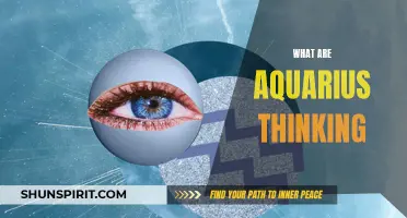 Understanding the Complex Mind of an Aquarius