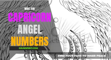 Understanding Capricorn Angel Numbers: Unlocking the Hidden Messages