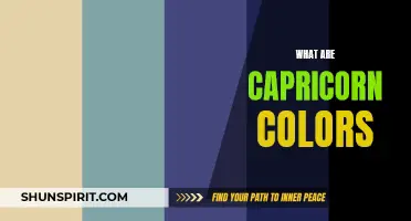 Unlocking the Mysteries of Capricorn Colors: Exploring the Palette of the Ambitious Earth Sign