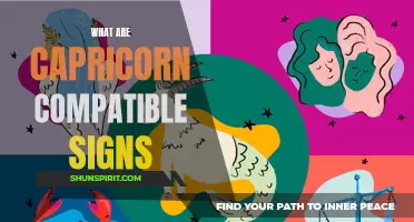 Capricorn Compatibility: Which Signs Are a Perfect Match?