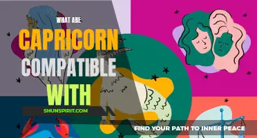 Which Zodiac Signs Are Compatible with Capricorn?