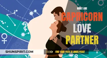 Understanding Capricorn Love Partners: Compatibility and Traits Revealed