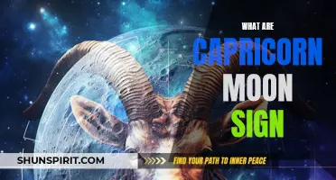Understanding the Traits and Characteristics of Capricorn Moon Sign