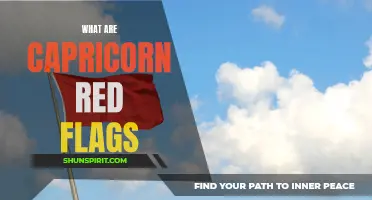 Recognizing the Warning Signs: Common Capricorn Red Flags You Shouldn't Ignore
