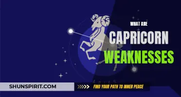 Understanding the Weaknesses of Capricorn: A Guide to Their Flaws