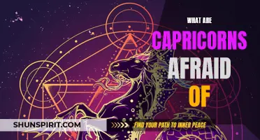 The Top Fears Capricorns Often Experience