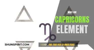 The Element That Drives Capricorns: A Look into Their Sign's Essence