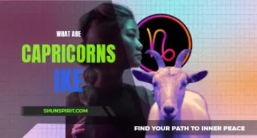 Understanding the Traits and Characteristics of Capricorns