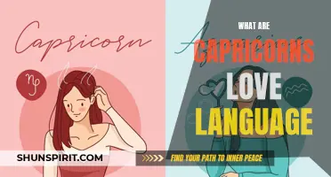 Understanding Capricorns: Decoding Their Love Language