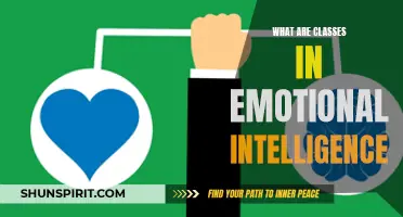 Understanding the Importance of Classes in Emotional Intelligence