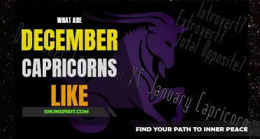 Understanding the Traits and Characteristics of December Capricorns