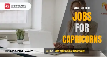 Best Career Paths for Capricorns