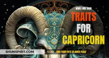 Traits to Look for in a Capricorn: What Are the Sign's Key Characteristics?