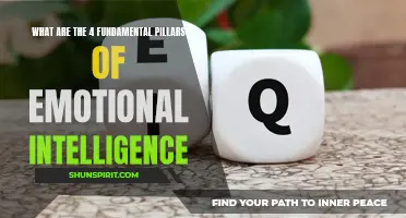 The Key Pillars of Emotional Intelligence: Understanding the 4 Fundamentals