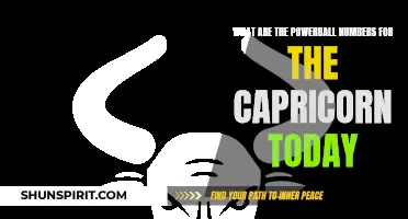 Capricorn Powerball Numbers: Discover Your Luck Today