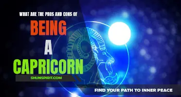 The Advantages and Disadvantages of Being a Capricorn