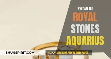 Unlocking the Mysteries of the Royal Stones: Aquarius