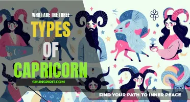Understanding the Three Types of Capricorn: Traits, Personality, and Compatibility